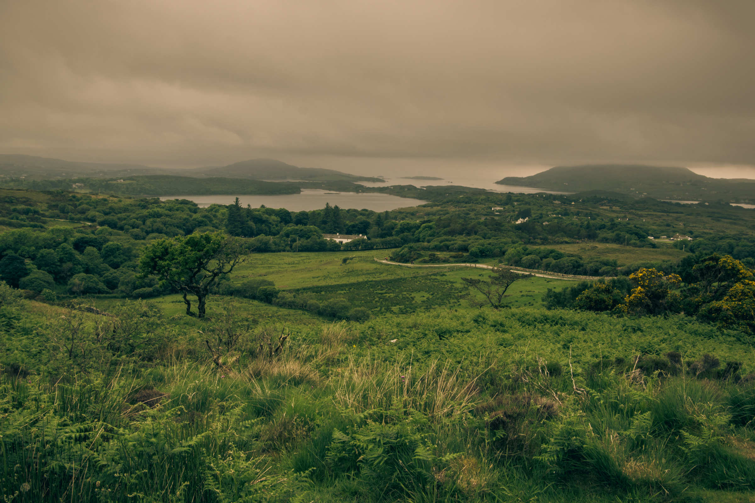 connemara national park (3).webp